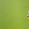 iUser_10\