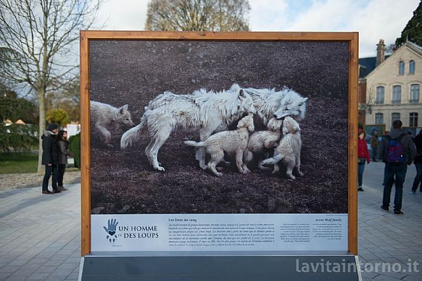 iUser_10\webG_Natura\Montier En Der 2016\001.jpg