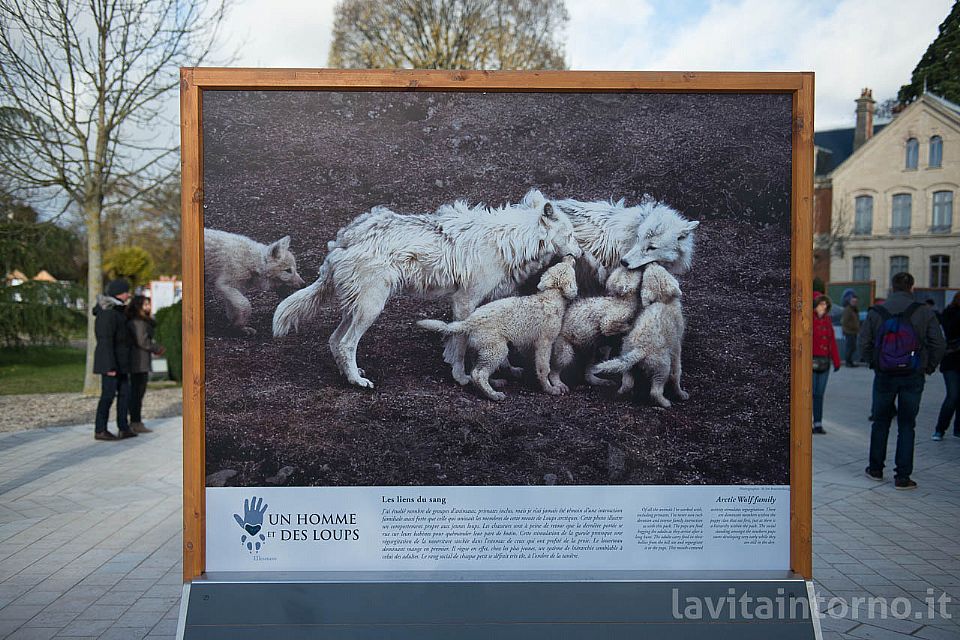 iUser_10\webG_Natura\Montier En Der 2016\001.jpg