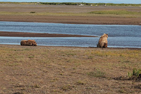 webG_Natura\alaska\007.jpg