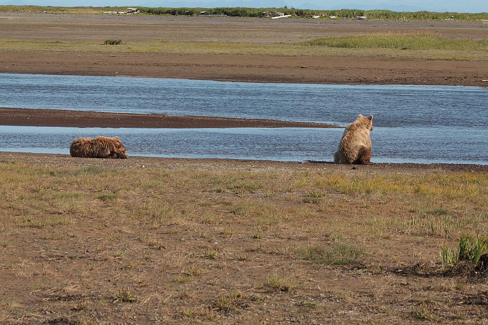 iUser_10\webG_Natura\alaska\007.jpg