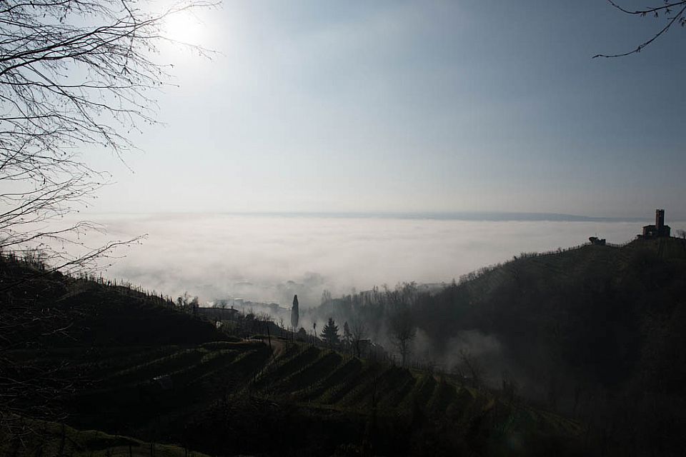 010.jpg