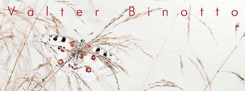 Il verde ad un passo da casa di Valter Binotto Il verde ad un passo da casa